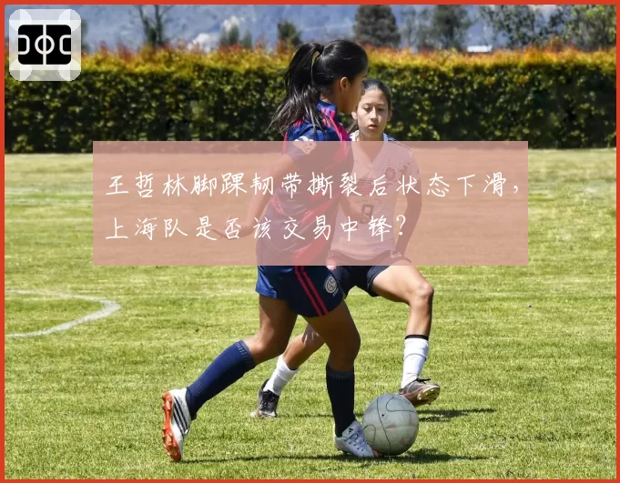 王哲林脚踝韧带撕裂后状态下滑，上海队是否该交易中锋？