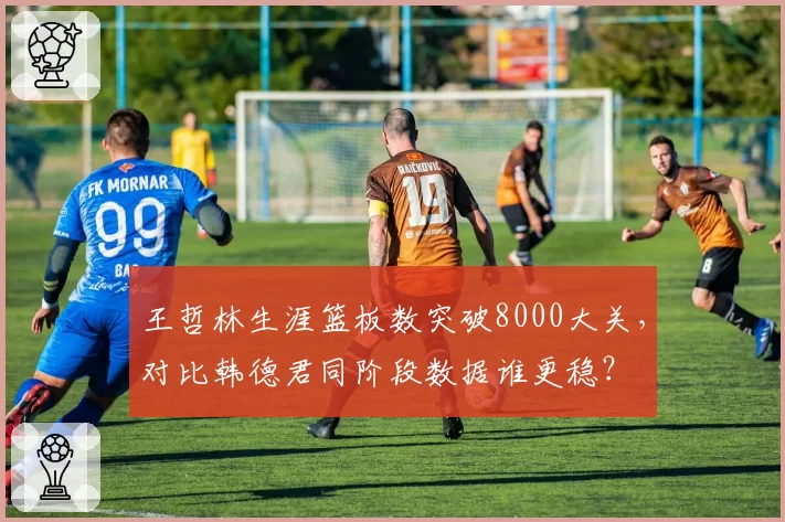 王哲林生涯篮板数突破8000大关，对比韩德君同阶段数据谁更稳？