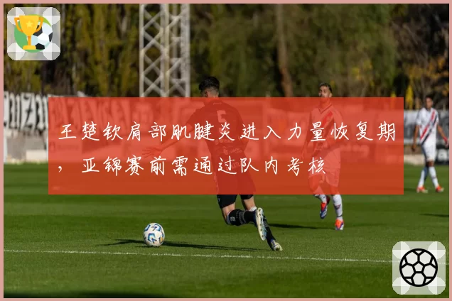 王楚钦肩部肌腱炎进入力量恢复期，亚锦赛前需通过队内考核